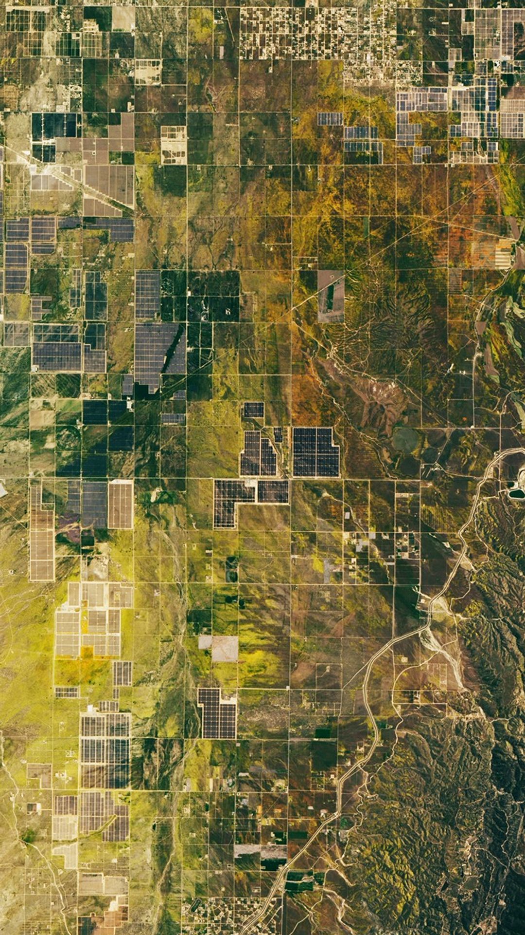 Vivid yellow flowers and solar panels seen in a Landsat 9 image of California